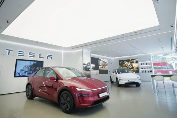 India’s Tesla Enthusiasts Disappointed Despite Musk’s Delivery