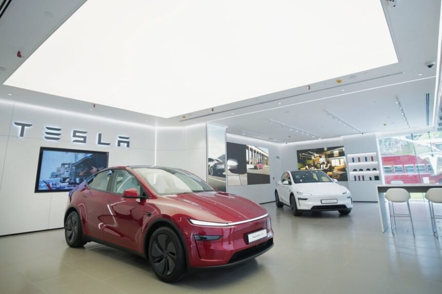 India’s Tesla Enthusiasts Disappointed Despite Musk’s Delivery