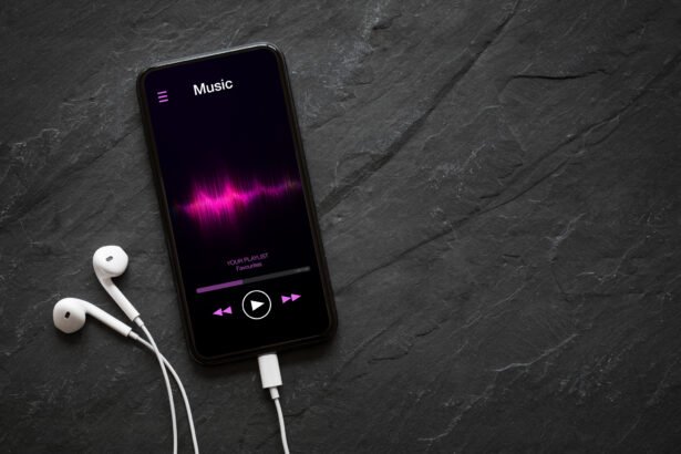 Navigating the Spotify Stock Plunge: Key Insights for Investors