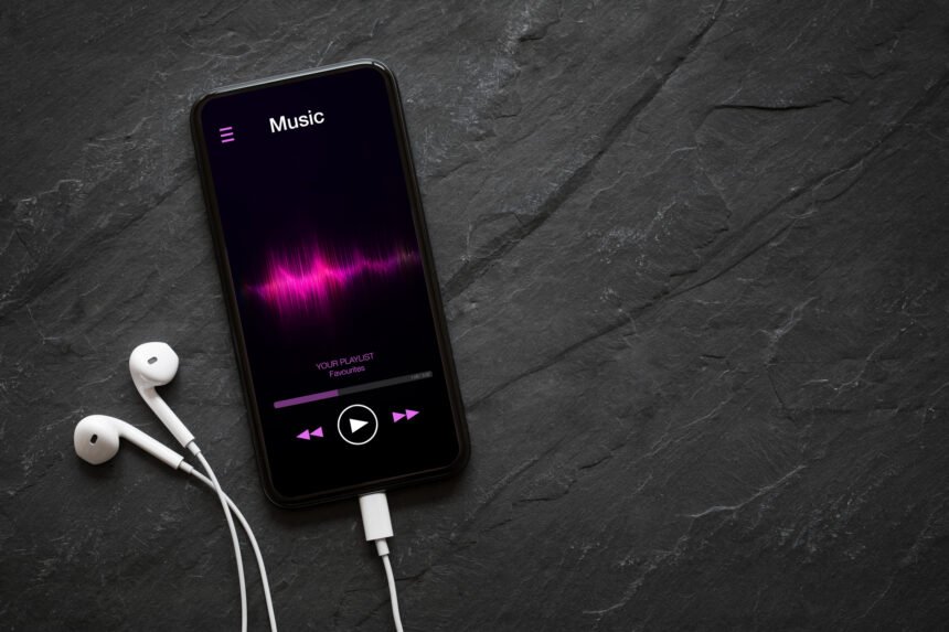 Navigating the Spotify Stock Plunge: Key Insights for Investors