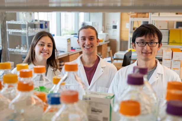 Revolutionary AI Breakthrough Enhances Precision Cancer Therapy, UW Researchers Find