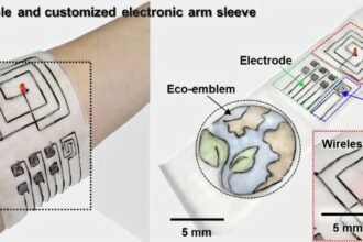 Revolutionizing Electronics: Biodegradable Fiber Technology Addresses E-Waste and Textile Pollution
