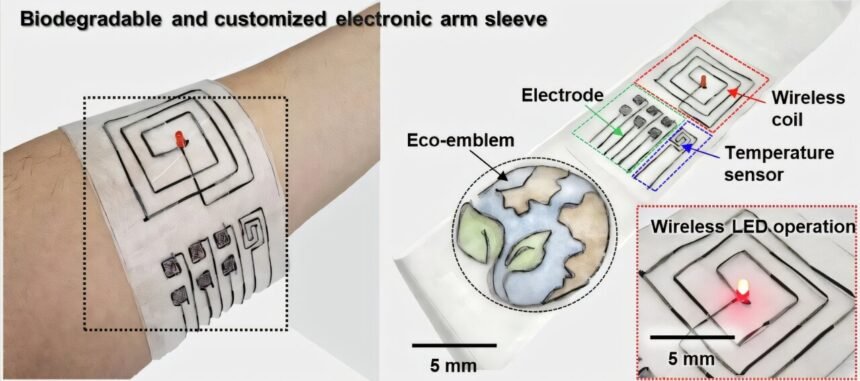 Revolutionizing Electronics: Biodegradable Fiber Technology Addresses E-Waste and Textile Pollution
