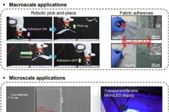 Revolutionizing Micro-LED Chip Transfer with Shape Memory Polymers and Nanotips