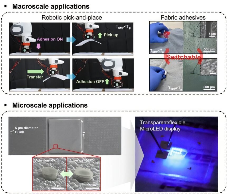 Revolutionizing Micro-LED Chip Transfer with Shape Memory Polymers and Nanotips