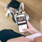 Rover Expands Down Under: Acquires Mad Paws, Australia’s Premier Pet Sitting Marketplace