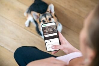 Rover Expands Down Under: Acquires Mad Paws, Australia’s Premier Pet Sitting Marketplace