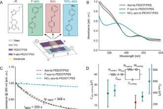 Synaptic Sensitivity: Mimicking Brain Activity with Light-Sensitive Materials