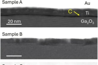Uncovering the Roadblock: Carbon Contamination Hinders Progress in Gallium Oxide Electronics