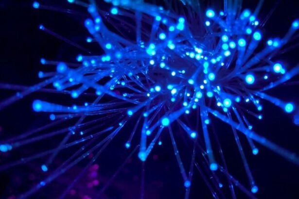 Cogent Broadens Network Capabilities with Enhanced Wavelength and IP Transit Services