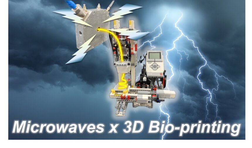 Customized 3D Printed Foods for Dysphagia Patients