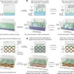 Enhancing Lithium-Metal Battery Performance with Nanoengineered Electrode Materials
