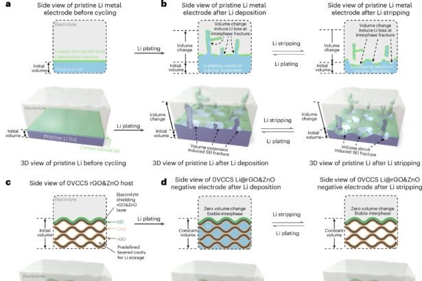 Enhancing Lithium-Metal Battery Performance with Nanoengineered Electrode Materials