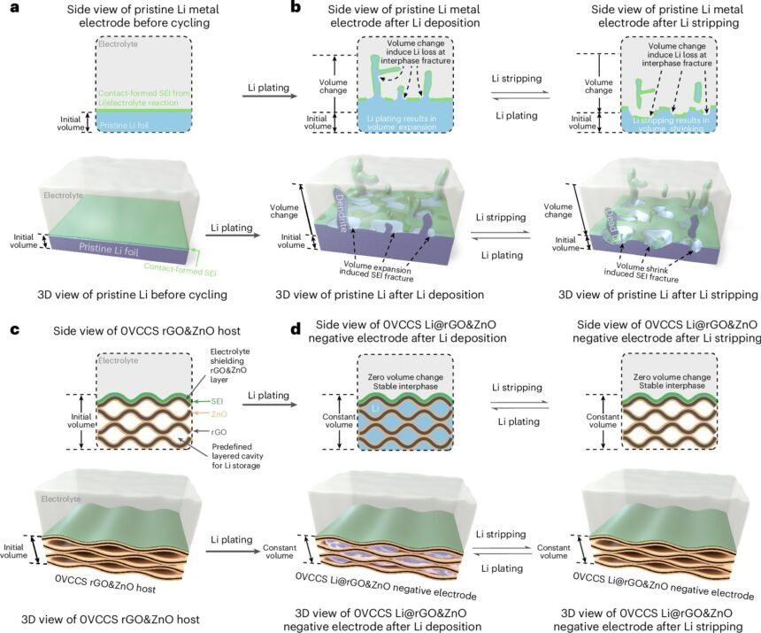 Enhancing Lithium-Metal Battery Performance with Nanoengineered Electrode Materials