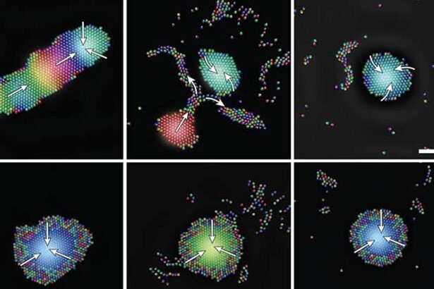 Harmony in Robotics: How Tiny Sound-Powered Robots Organize into Intelligent Groups
