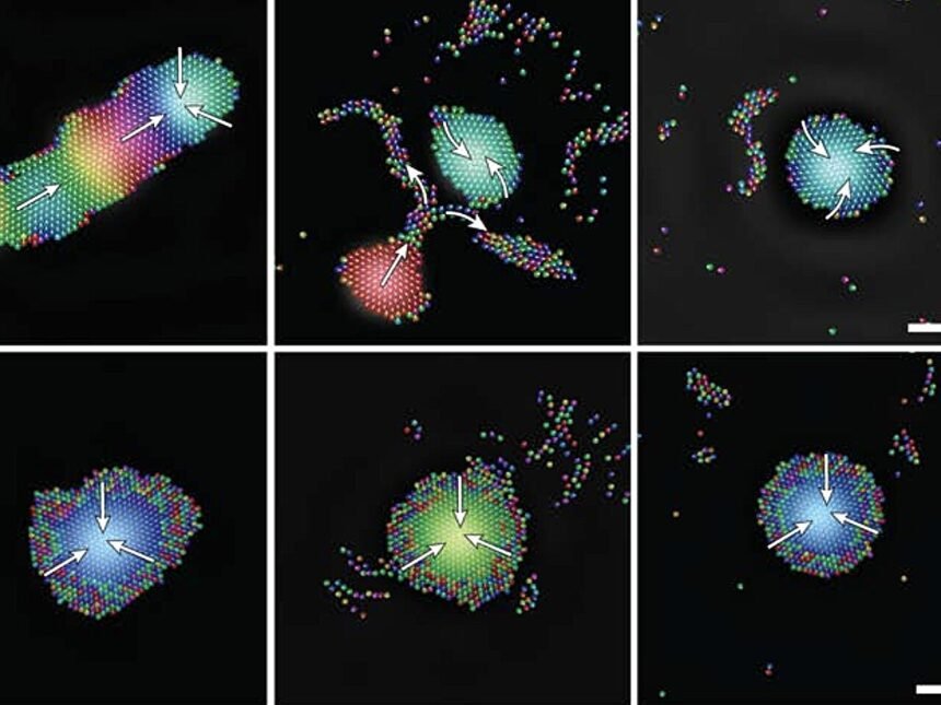 Harmony in Robotics: How Tiny Sound-Powered Robots Organize into Intelligent Groups
