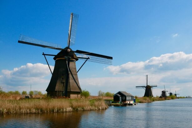 Navigating the Future: Trends in the Dutch Data Centre Market