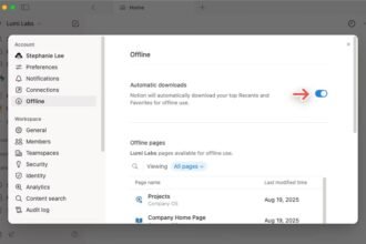 Notion: Offline Mode Activated