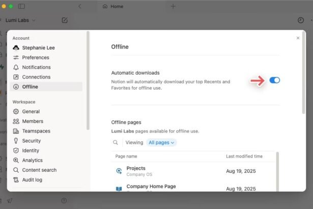 Notion: Offline Mode Activated