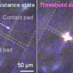 Revolutionizing Brain-Inspired Computing with Electro-Optical Niobium Dioxide Mott Neurons