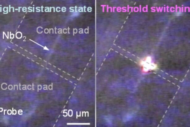 Revolutionizing Brain-Inspired Computing with Electro-Optical Niobium Dioxide Mott Neurons