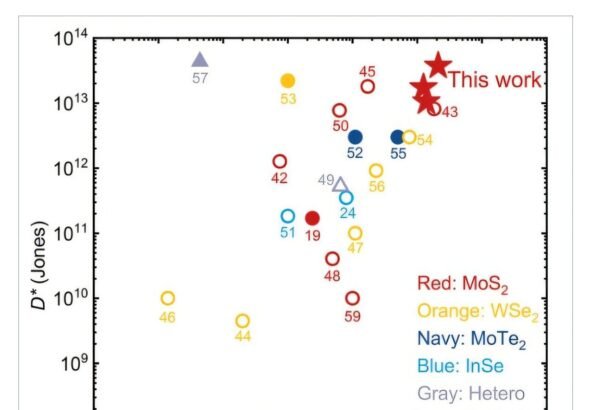 Revolutionizing Photodetection: A Breakthrough in Sensitivity with Self-Powered Device Structure