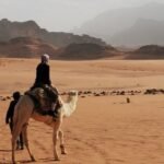 Seamless Connectivity: Egypt and Jordan Linked by Coral Bridge Subsea Cable
