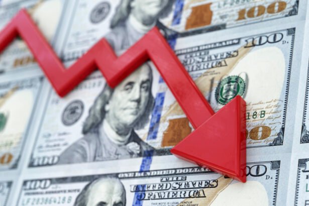 The Continued Plunge of Palantir Stock: What’s Driving the Decline?