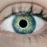 Visionary SoundHound: AI Enhanced with Sight