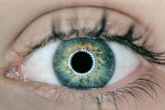 Visionary SoundHound: AI Enhanced with Sight