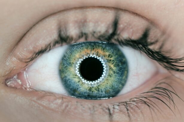 Visionary SoundHound: AI Enhanced with Sight