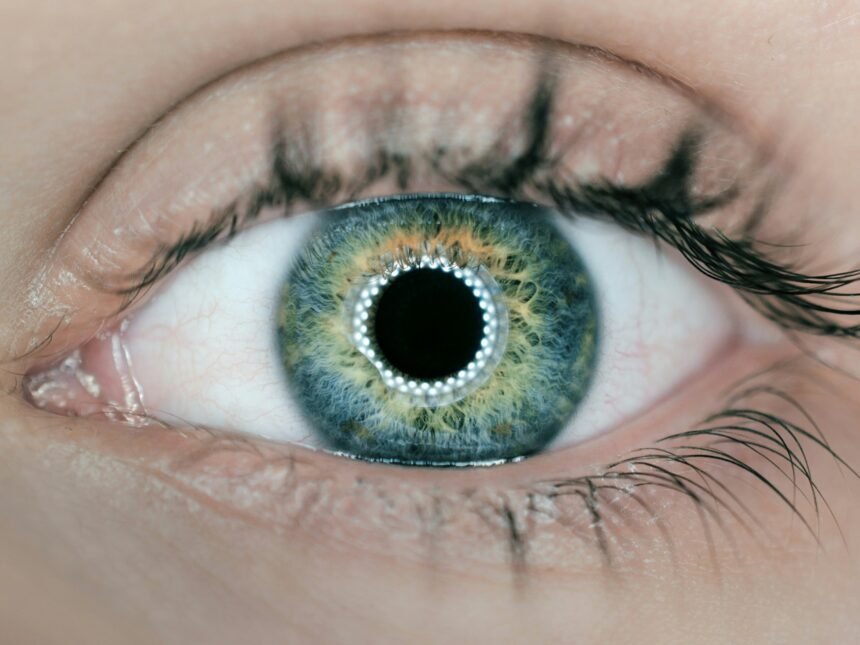 Visionary SoundHound: AI Enhanced with Sight