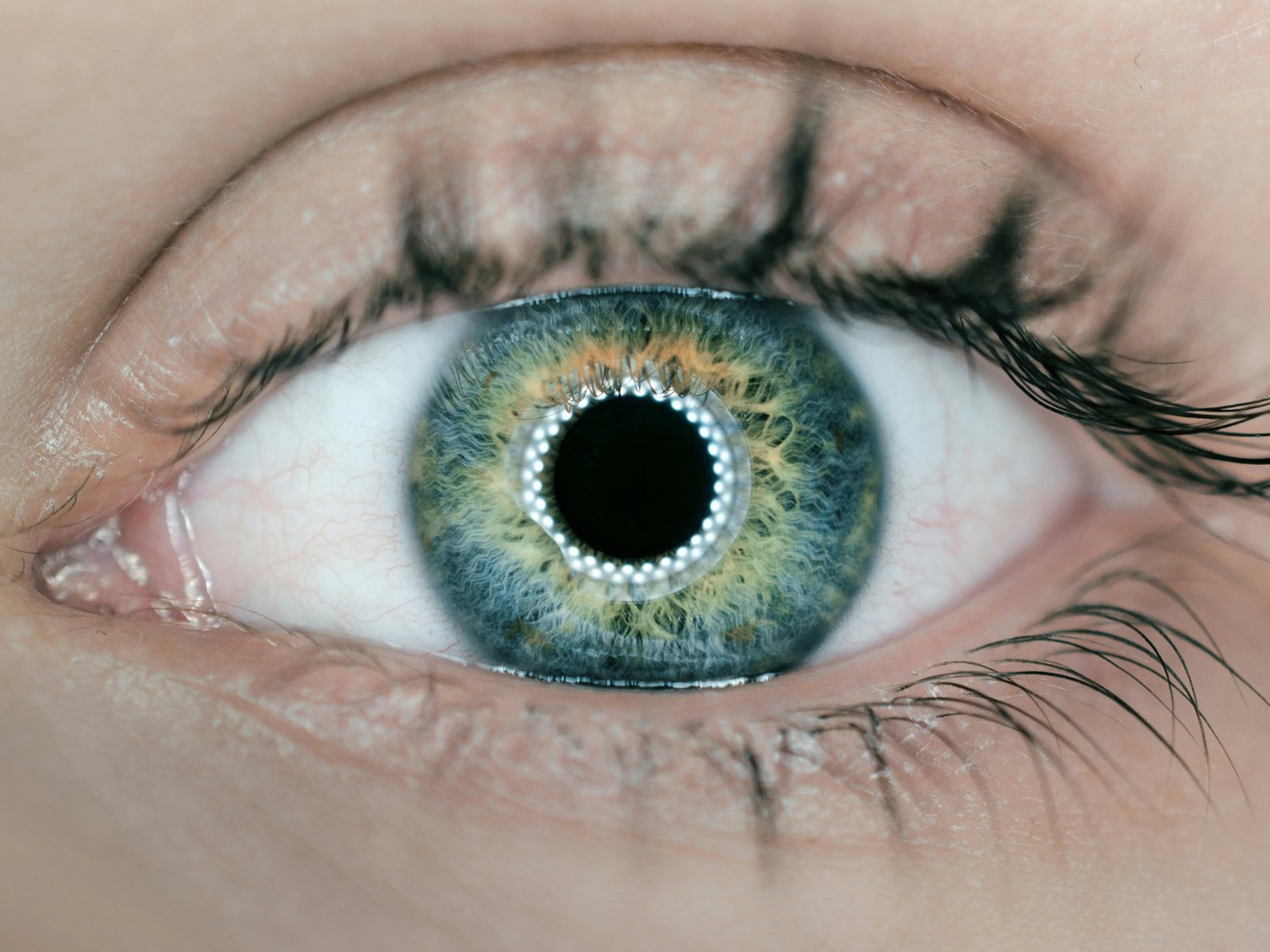 Visionary SoundHound: AI Enhanced with Sight - Silicon Flash