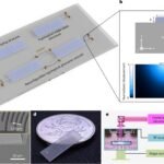 High-Frequency Sound Control: Compact Phononic Circuits for Chip-Scale Devices