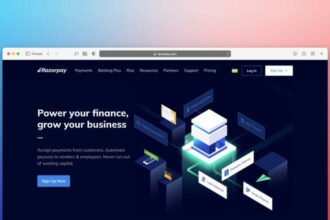 Rad Web Hosting Expands Services to Include VPS Hosting in France