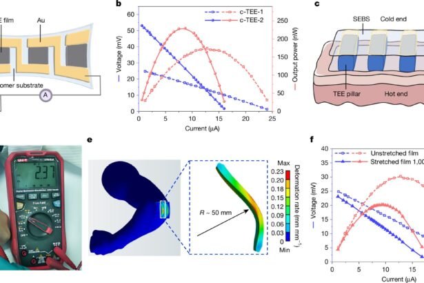 Revolutionary Rubber Band: Harnessing Body Heat for Electricity Generation