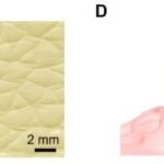 Revolutionizing Bioelectronic Interfaces: Unlocking the Potential of Drop-Printing Technology