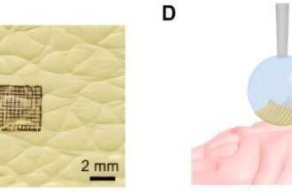 Revolutionizing Bioelectronic Interfaces: Unlocking the Potential of Drop-Printing Technology