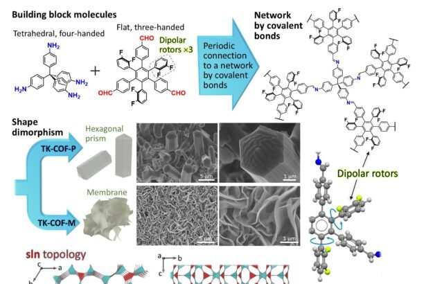Revolutionizing Data Storage: The Future of Non-Volatile Memory with Covalent Organic Frameworks