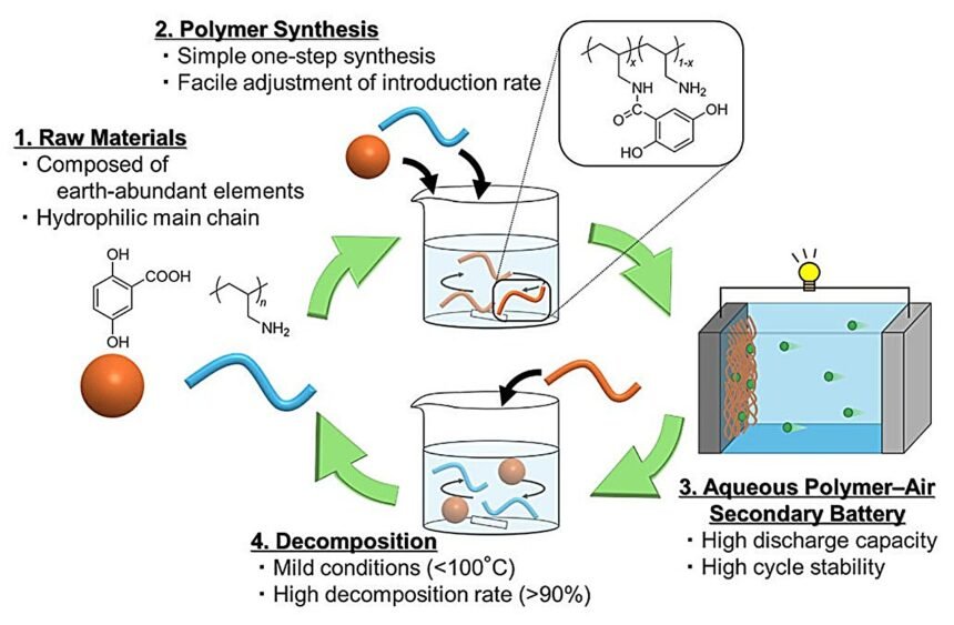 Revolutionizing Energy Storage: The Potential of Recyclable Water-Based Batteries with Organic Polymers