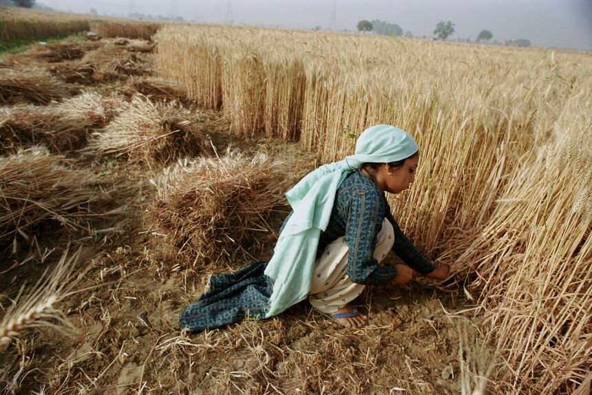 Revolutionizing Farming: How AI is Transforming Agriculture