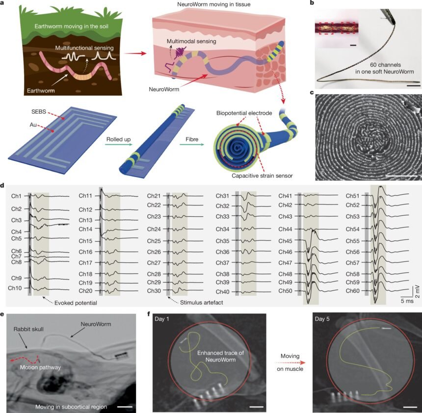 Revolutionizing Neural Monitoring: The Wireless NeuroWorm Electrode