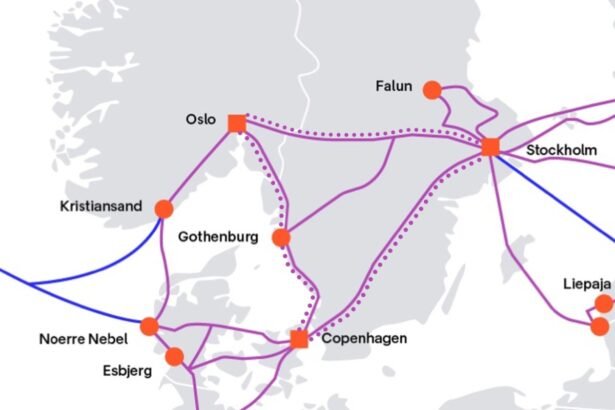 Scaling up: Arelion’s Strategic Moves in the Scandinavian AI Market