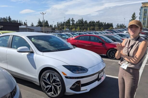 The Electric Rush: How Last-Minute Rebate Frenzy Sparks Long-Term Adoption