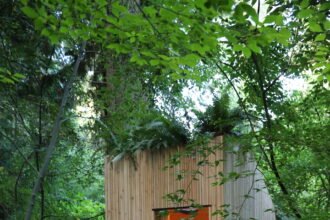 The Future of Sustainable Sanitation: A Mushroom-Powered Waterless Toilet in Bloom