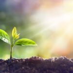 Top Growth Stock Picks Every Investor Should Consider