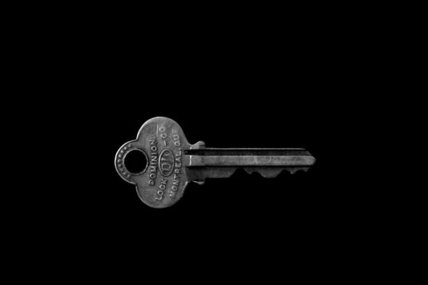 Unlocking AI-driven growth through superior data quality