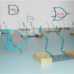 Unlocking the Future: Harnessing Biomolecular Computing for Advanced Integrated Circuits