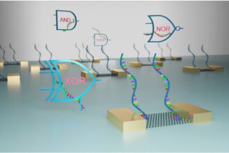 Unlocking the Future: Harnessing Biomolecular Computing for Advanced Integrated Circuits