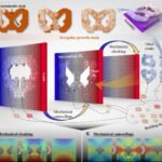 Breakthrough in Metamaterials: The Power of Static Mechanical Cloaking and Camouflage Breakthrough in Metamaterials: The Power of Static Mechanical Cloaking and Camouflage